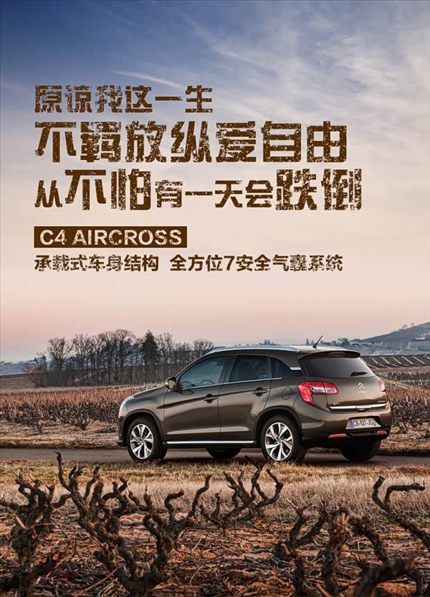 【C4 AIRCROSS放纵不羁爱自由_南京金灿汽