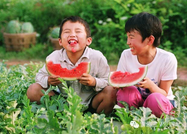 幸福是一种豁达的心态,它来源于生活的轻松与满足,以及对于未来无限的