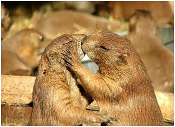 【济南明华告诉你:浪漫情人节她的小心思_山东