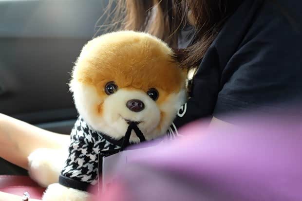 【中盈雪佛兰四人姐妹帮超酷的人生第一步_中