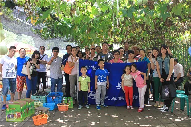 【图】北京现代鹏奥俱乐部大兴葡萄采摘活动