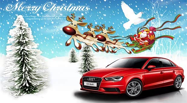 【乐享圣诞 绽放礼遇-2014奥迪尊享平安夜_常