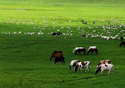 【图】保定力帆X60运动版特价车 仅限本月_汽