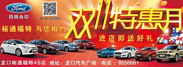 【图】喜迎双十一,比烟台车展还疯狂的购车节图片