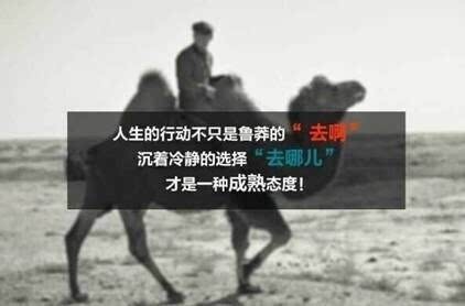 130594607702340477.jpg