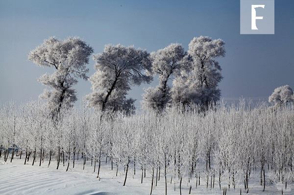 【图】温州尊驰美景 12月份中国最美的地方