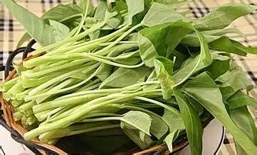 【久坐上班的一族如何提升自身免疫力_东营御