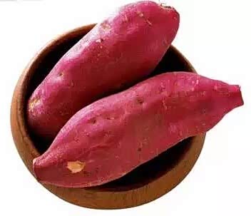 【久坐上班的一族如何提升自身免疫力_东营御