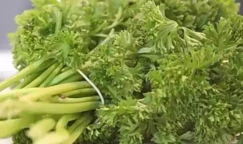 【脑洞大开 想要靠谱年终奖 快看这里_绿地金