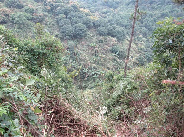 【图】DS5LS翻下山70米!五人全无生命危险!