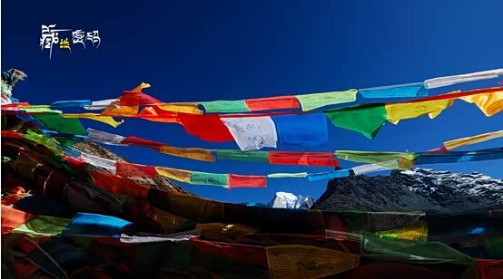 【图】东风日产新奇骏 探寻藏地密码一