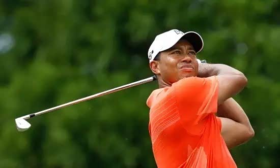 【情人节当天 你可以和老虎伍兹一样帅_山东万