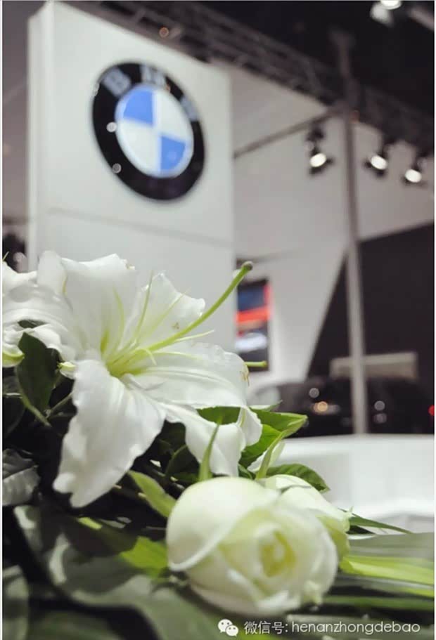 【电商时代 网络购车比车展政策更超前_河南中