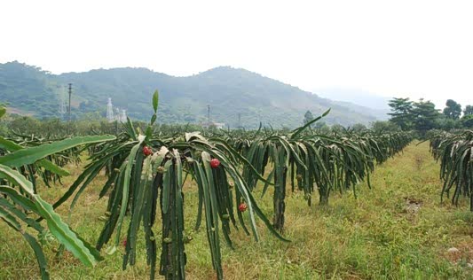【广顺俱乐部拉丁小镇发现之旅圆满结束_广顺