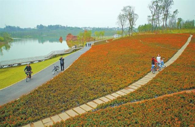 推荐地三:白鹭湾湿地公园