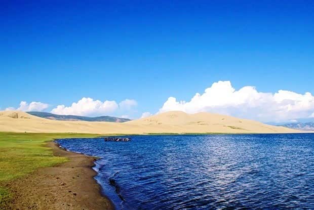 【青海湖畔听候鸟“合唱” 看万鸟飞舞_新乡市华盛新闻资讯】-汽车之家