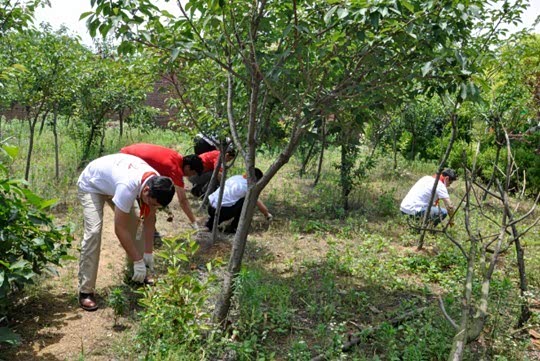 【雪佛兰红粉笔公益行情暖日照岚山草涧子小