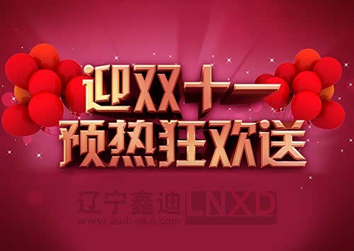 迎双十一大促 辽宁鑫迪奥迪钜惠出击!图片
