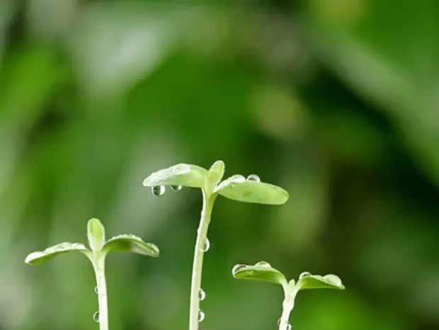 【人生的最高境界就是像水一样的活着_湖北中