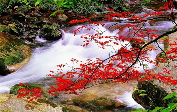 【人生的最高境界就是像水一样的活着_湖北中