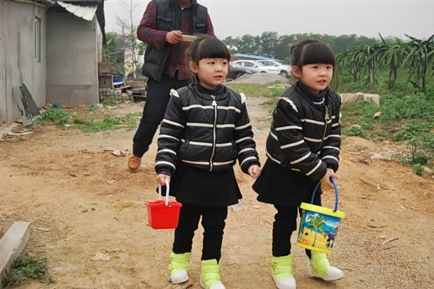 【植树暨爱车养护课堂活动 完美结束_东莞东美