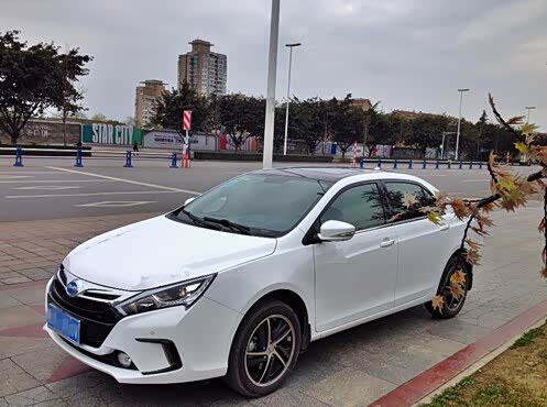 【如何成功被俘获 走进新能源车车主_大华汽车