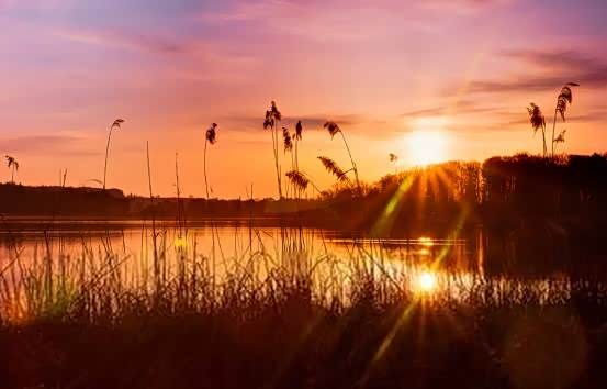 【唯美日出 绚烂日落 为你真心守候!_金华紫升新闻】-汽车之家