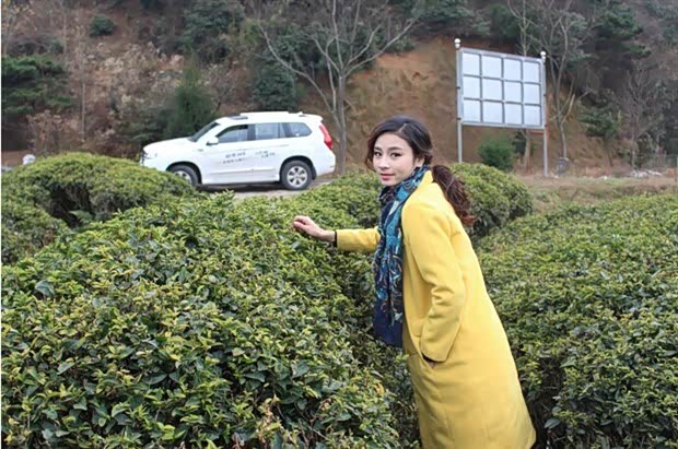 【图】哈弗H9带她畅游五岳之南岳衡山