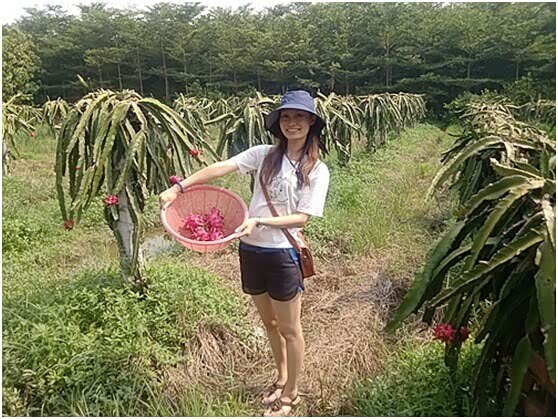 【宝马邀请你一起去摘火龙果亲子活动_肇庆