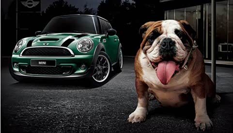 【18万购宝马mini试驾再送英伦斗牛犬_武汉宝