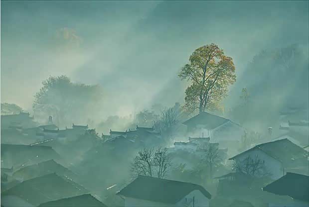 【生存还是生活 归根到底还是你说了算_阜阳九