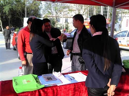 【真诚上门 服务到心 河源永发比亚迪汽车紫金