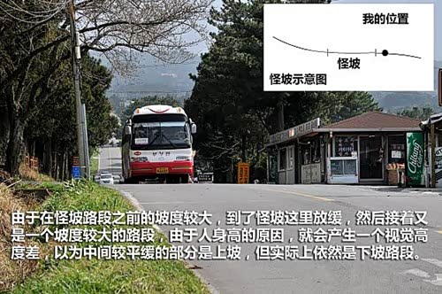 【五天四晚 韩国健康豪华游(三)_卓源汽车销售