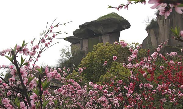 【图】春光大好 余姚周边有这些赏花好去处