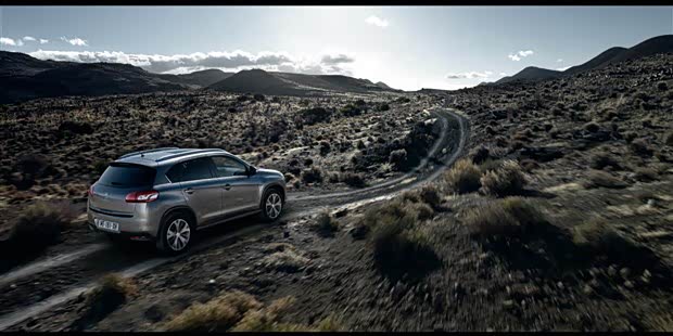 【图】世界足球杯 法国进口标致队超强阵容