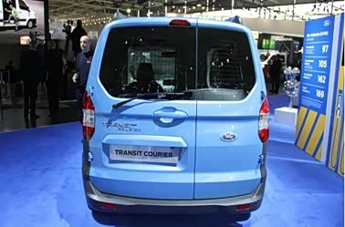 关于福特全顺大家族的毕业论文格式范文