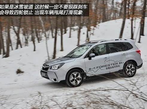 【斯巴鲁新森林人全驱全能冰雪畅行者_德州中