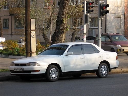 从1993年开始,有进口资质的经销商开始进口camry,并为其定名丰田佳美