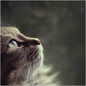 【教你轻松拍出美cry的爱车照片_山西泽通汽车新闻】-汽车之家