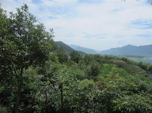 【浙江宝通桐庐大溪闯滩自驾游归来啦_浙江宝