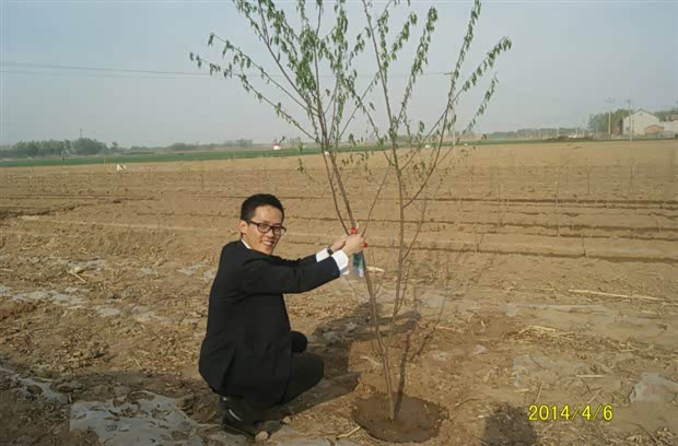 【东方华明车友春季植树活动后期报道_廊坊东