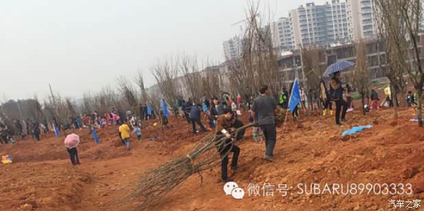 【义乌时代公益活动斯巴鲁环保事迹回顾_义乌