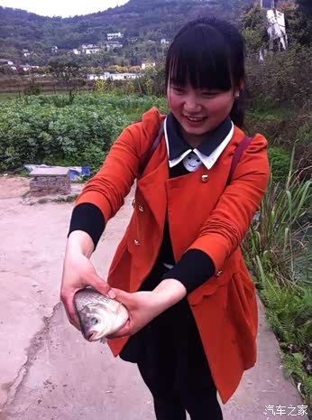 【图】麻将 钓鱼 爬山 赏花 玖鼎春游踏青活动