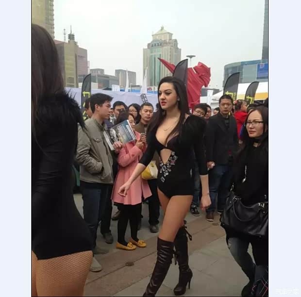 【德联开新奥迪品荐二手车车展完美落幕_河北