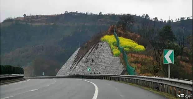 【如何在春季保持最佳的驾车状态_上海格林威