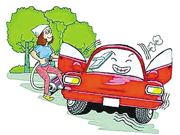 【汽车美容知识之防止爱车柳絮过敏_天津捷