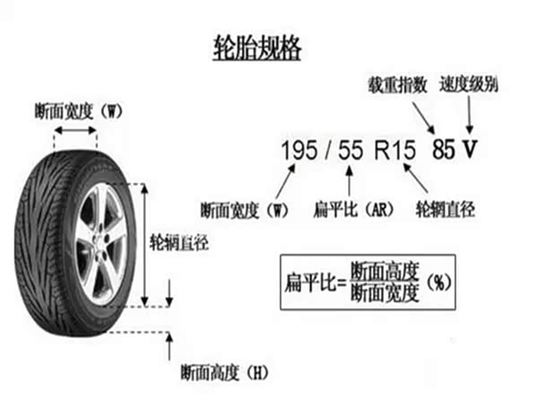 【轮胎基础知识知多少_东莞兴发新闻资讯】