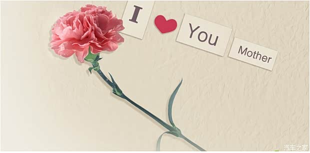 【图】娄底力天宝昆-感恩展厅母亲节活动