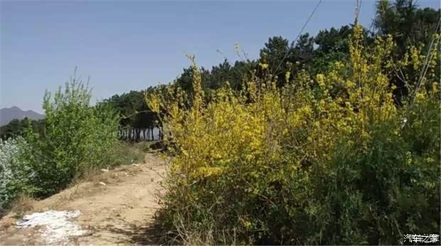 【开车去乡下赏花踏青 体验V80跑山路_ 海南合