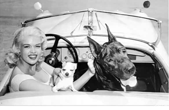 【八十年星光璀璨捷豹名人堂明星车主盘点_青